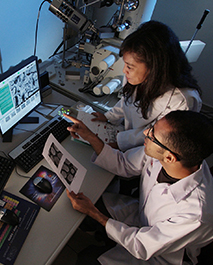 image-scientifique